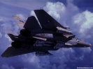  F-14 Tomcat wallpaper