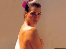  Brooke Shields wallpaper
