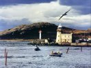 Lighthouse at Joyce