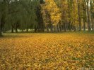 Fall Fall Scene wallpaper