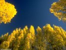 Fall Fall Scene wallpaper
