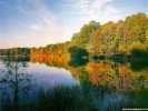 Fall Fall Scene wallpaper