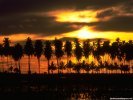 Sunset Sunset wallpaper