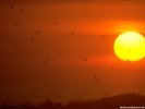 Sunset Sunset wallpaper