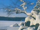 Winter Winter Landscape wallpaper