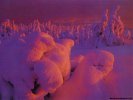 Winter Winter Landscape wallpaper