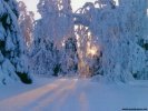 Winter Winter Landscape wallpaper