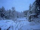 Winter Winter Landscape wallpaper