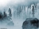 Winter Winter Landscape wallpaper