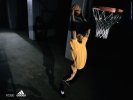  Kobe Bryant wallpaper