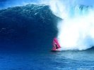  Windsurfing wallpaper